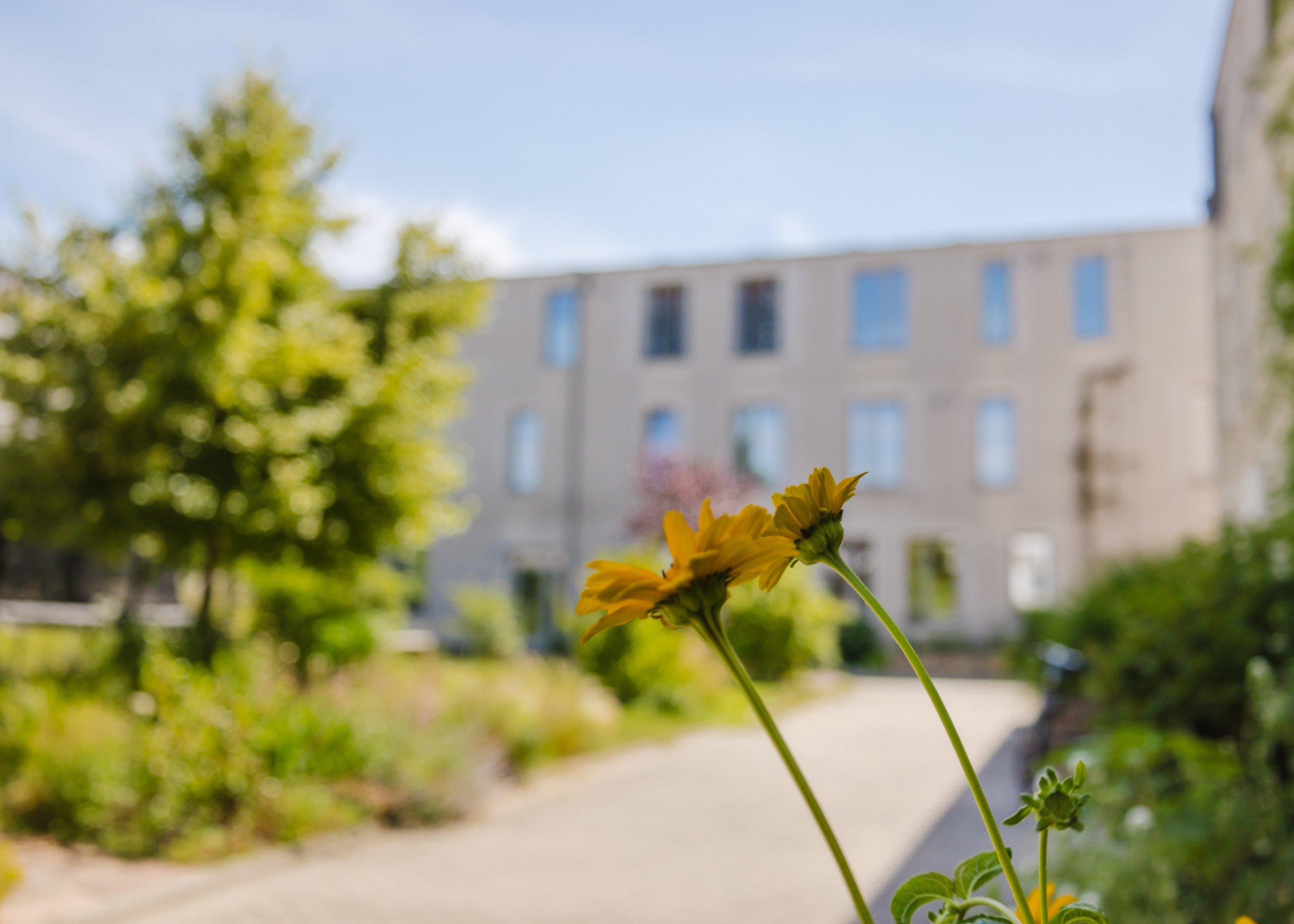 Gro�z�gige Luxus-Wohnung in Dresden-Friedrichstadt