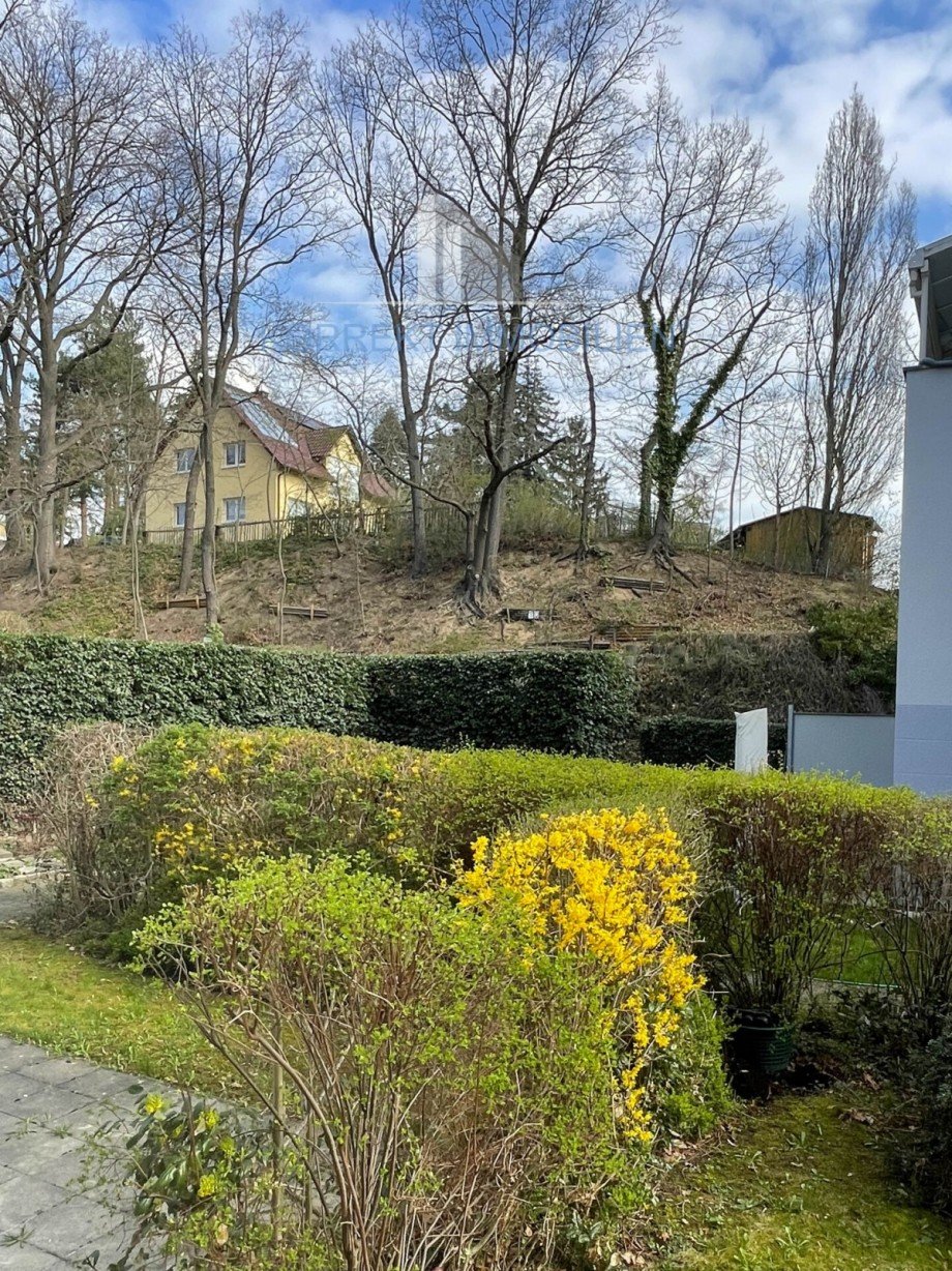 S�dterrasse Terrassenwohnung Dresden