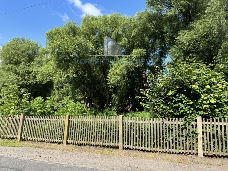 Gesamtansicht Wohngrundst�ck Dresden