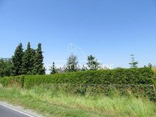 S�dseite Bauplatz - 580 m� f�r ein EFH in Gro�enhain - Zschieschen zu FAIRkaufen.