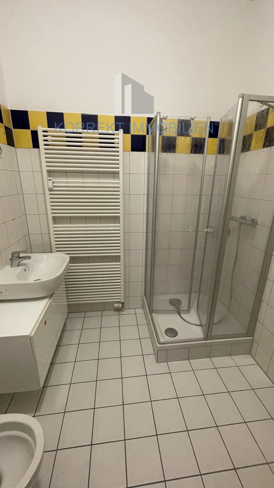 kleines Badezimmer Terrassenwohnung Dresden