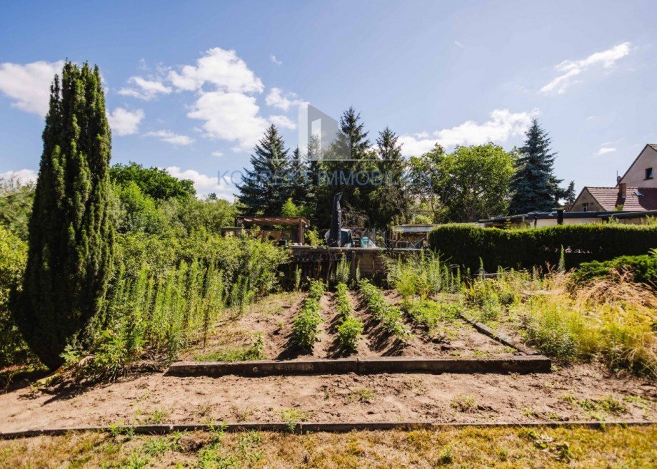 Beete im Garten Doppelhaush�lfte Coswig