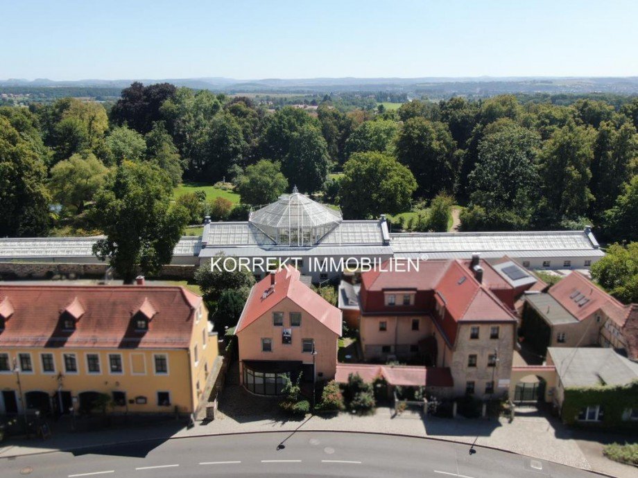 Ausblick auf das Palmenhaus Wohn- / Gesch�ftshaus Dresden