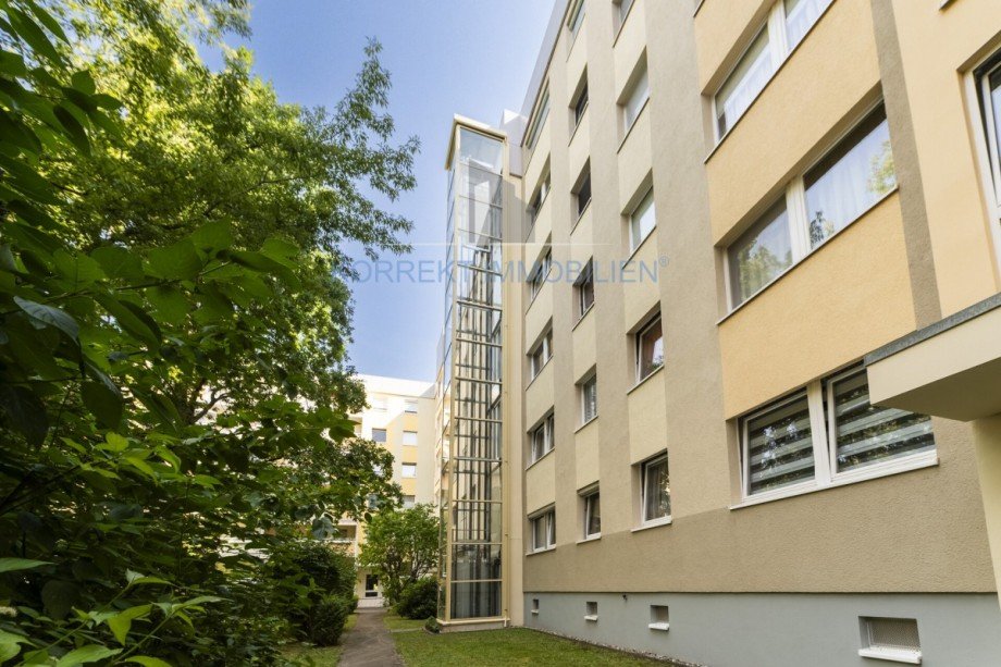 R�ckansicht des Wohnumfeldes Erdgeschosswohnung Dresden