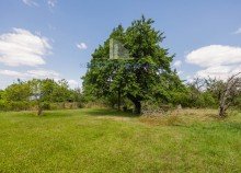 weitreichendes Gr�nland Exklusives Architektenhaus mit ausgebautem Wohnnebengeb�ude auf 4.341 m� Traumgrundst�ck in Radebeul | W�rmepumpe | 2 Kamine | Carport |moderne Ausstattung