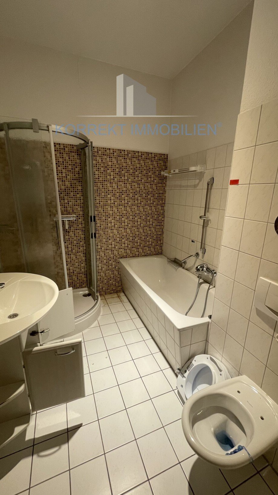 gro�es Badzimmer Terrassenwohnung Dresden