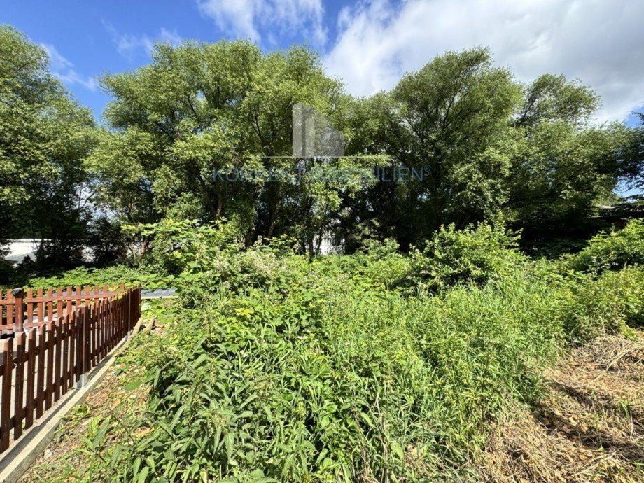 Blick auf das Grundst�ck Wohngrundst�ck Dresden