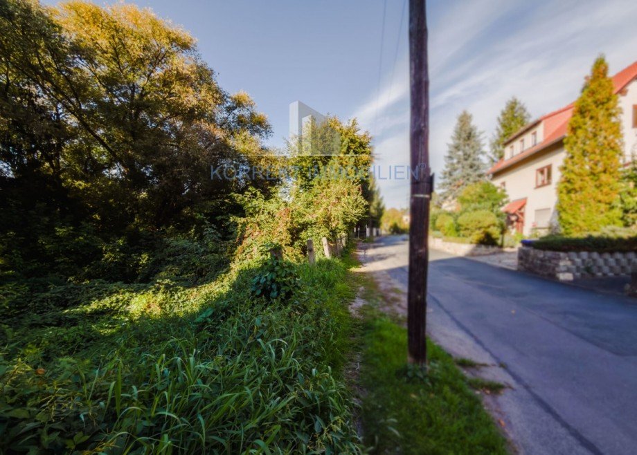 Blick von S�d und zur Nachbarschaft Wohngrundst�ck Dresden