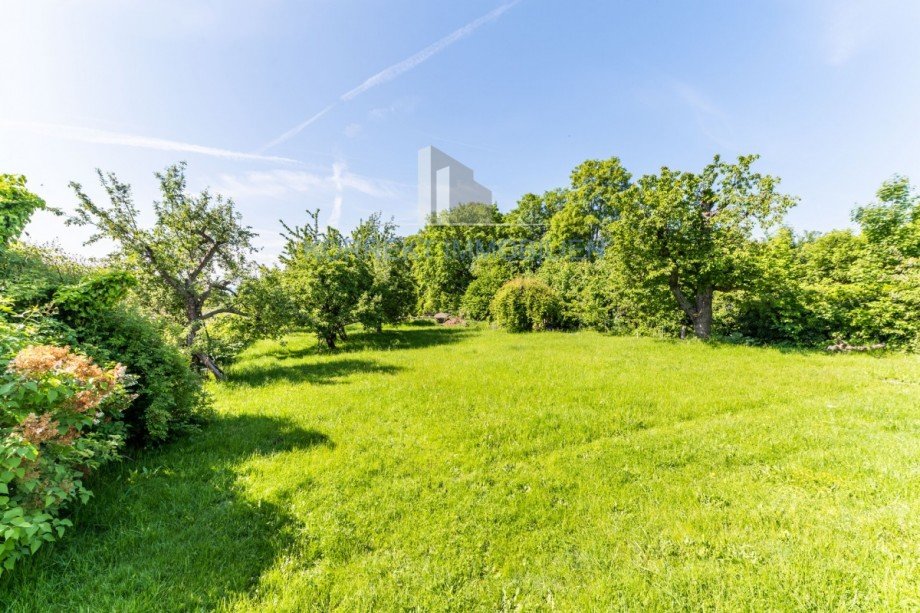 Blick in den Garten Einfamilienhaus Radebeul