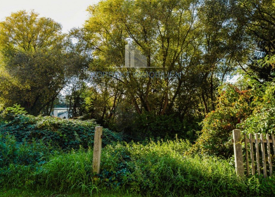 Blick aufs Grundst�ck Wohngrundst�ck Dresden