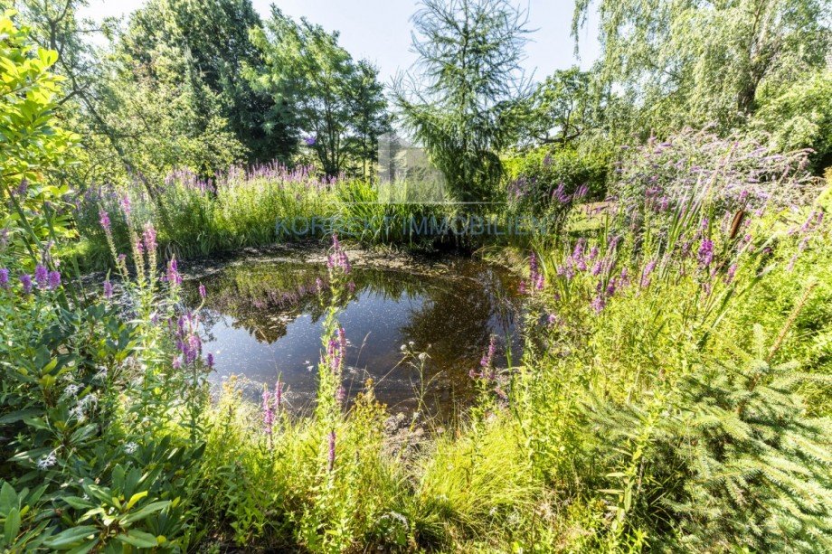 Teich im Garten Einfamilienhaus Halsbr�cke