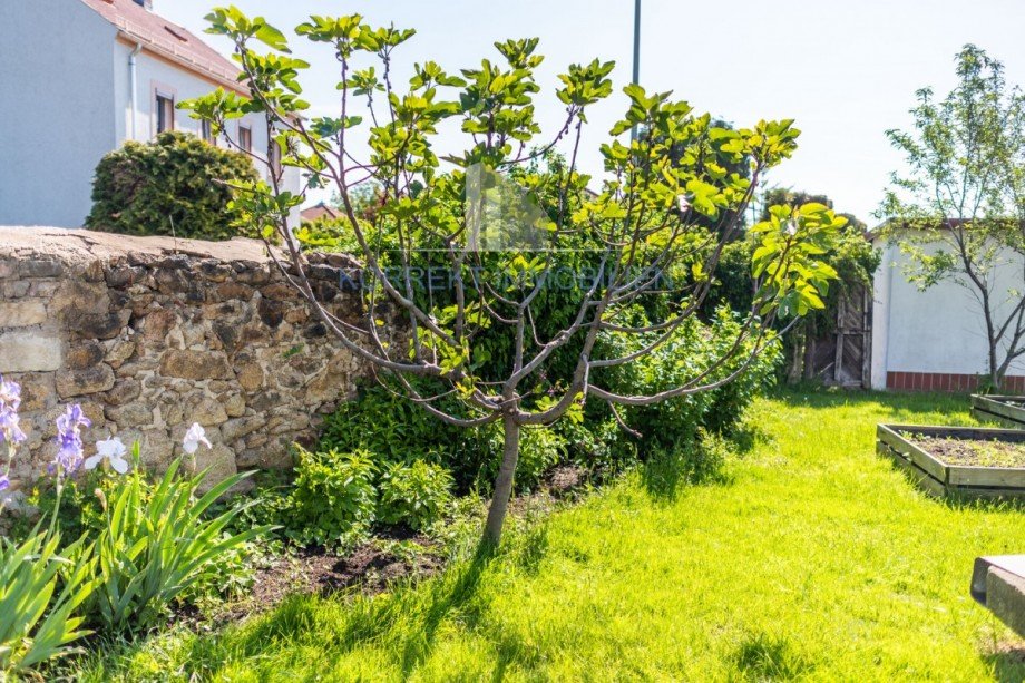 Garten Einfamilienhaus Radebeul
